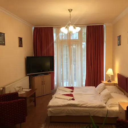 Apartman Danka *