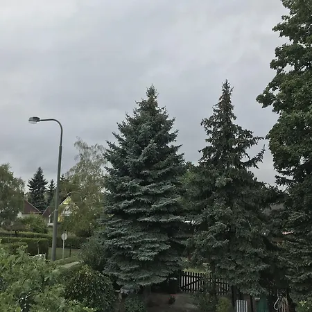 Danka Apartment Buk